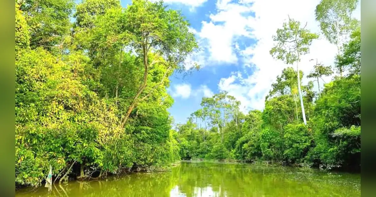 Sungai Kinabatangan