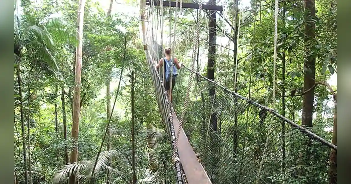 Taman Negara