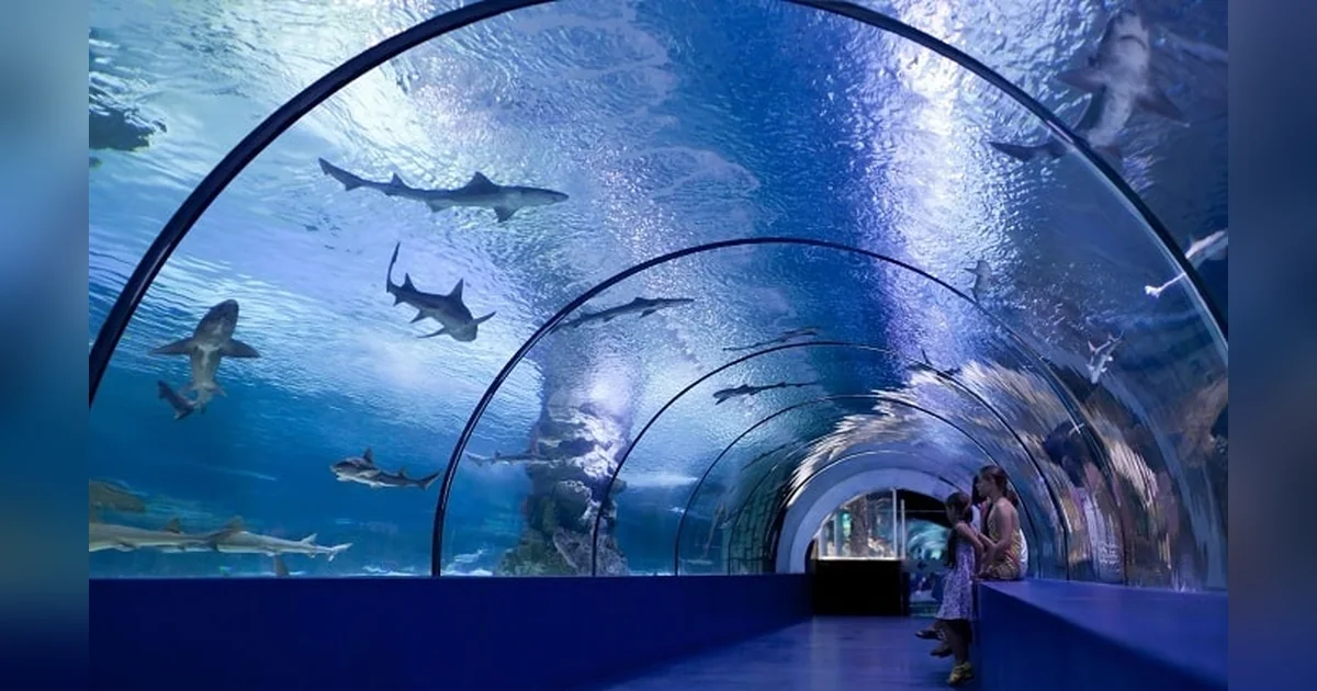 Osaka Aquarium Kaiyukan