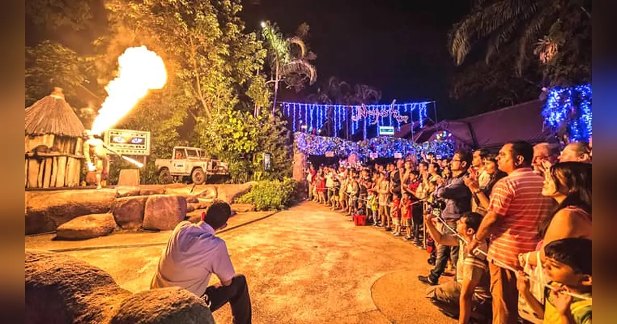 Night Safari