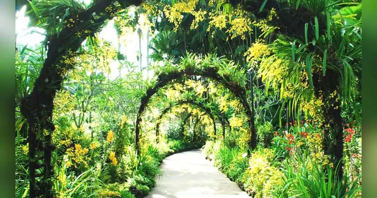 Singapore Botanic Garden