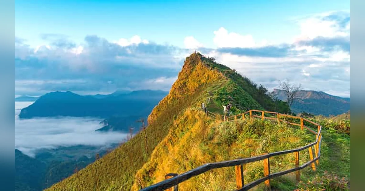 Con Dao National Park