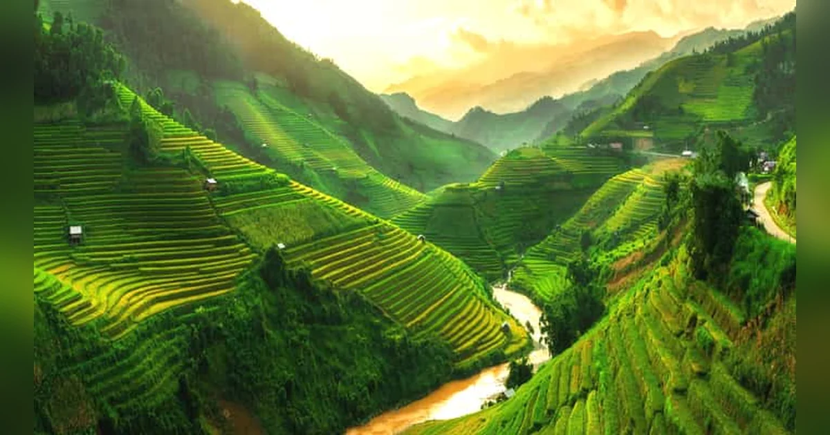 Sapa