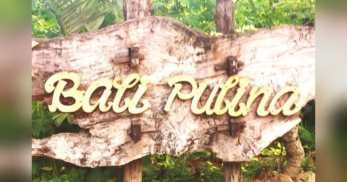 Bali Pulina