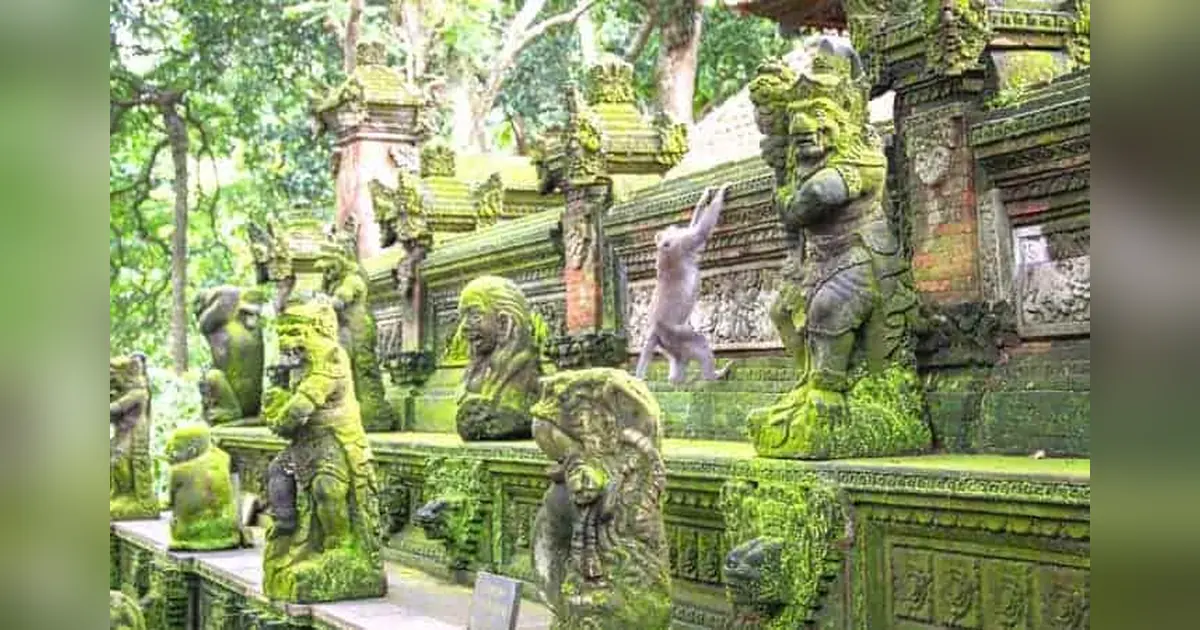 Sacred Monkey Forest Sanctuary