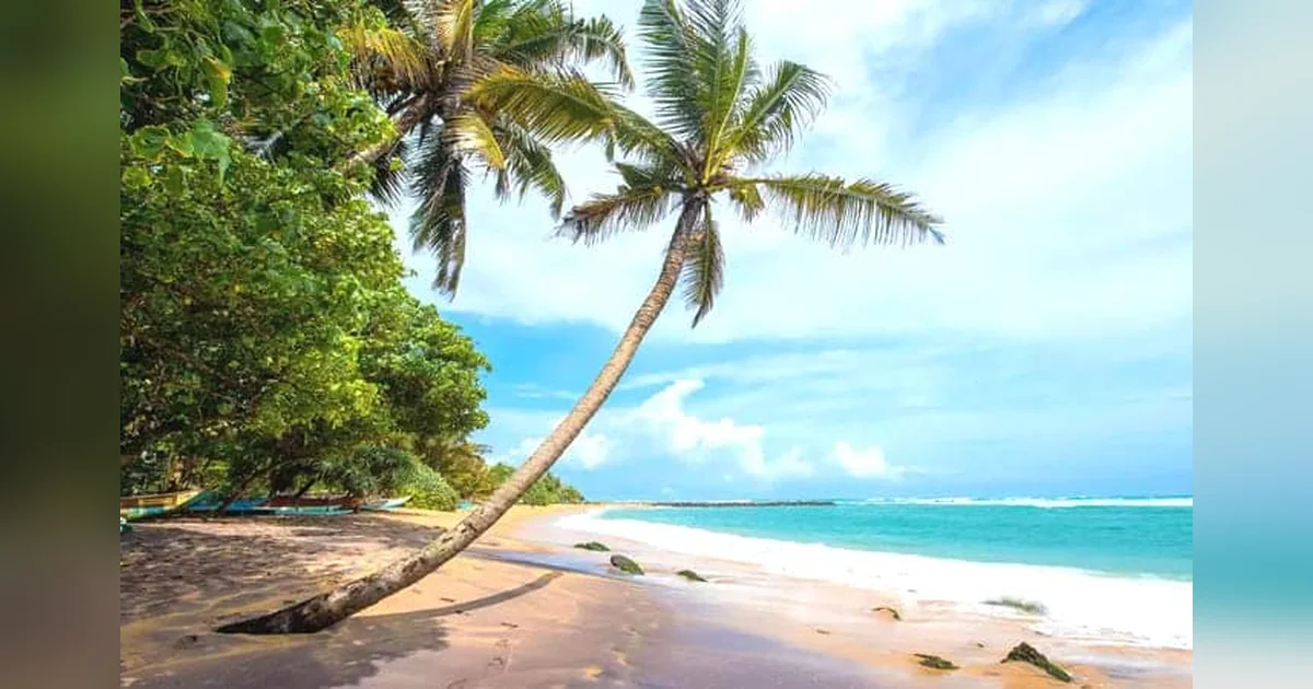 Mirissa Beach
