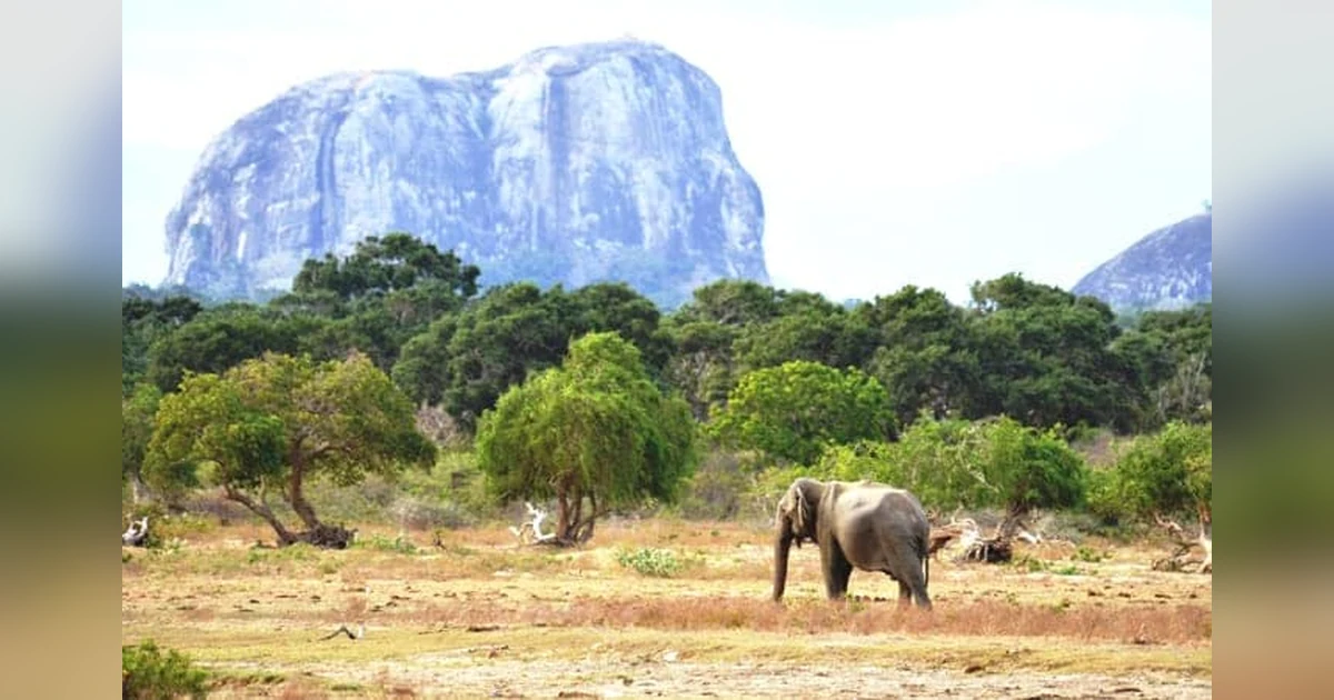 Yala National Park