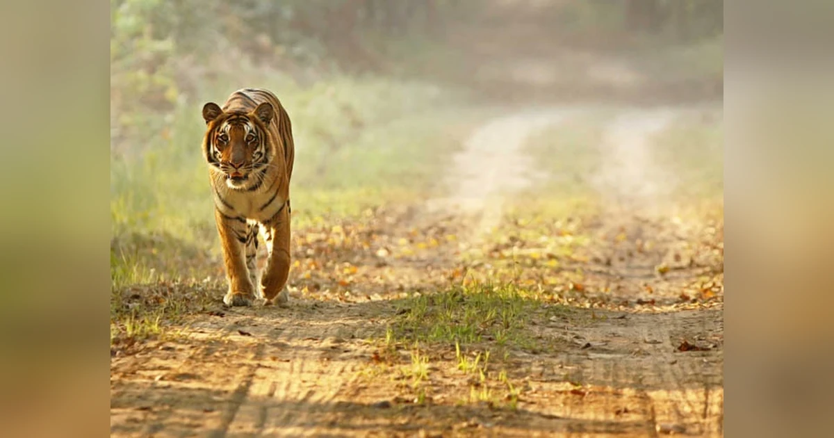 Dudhwa National Park