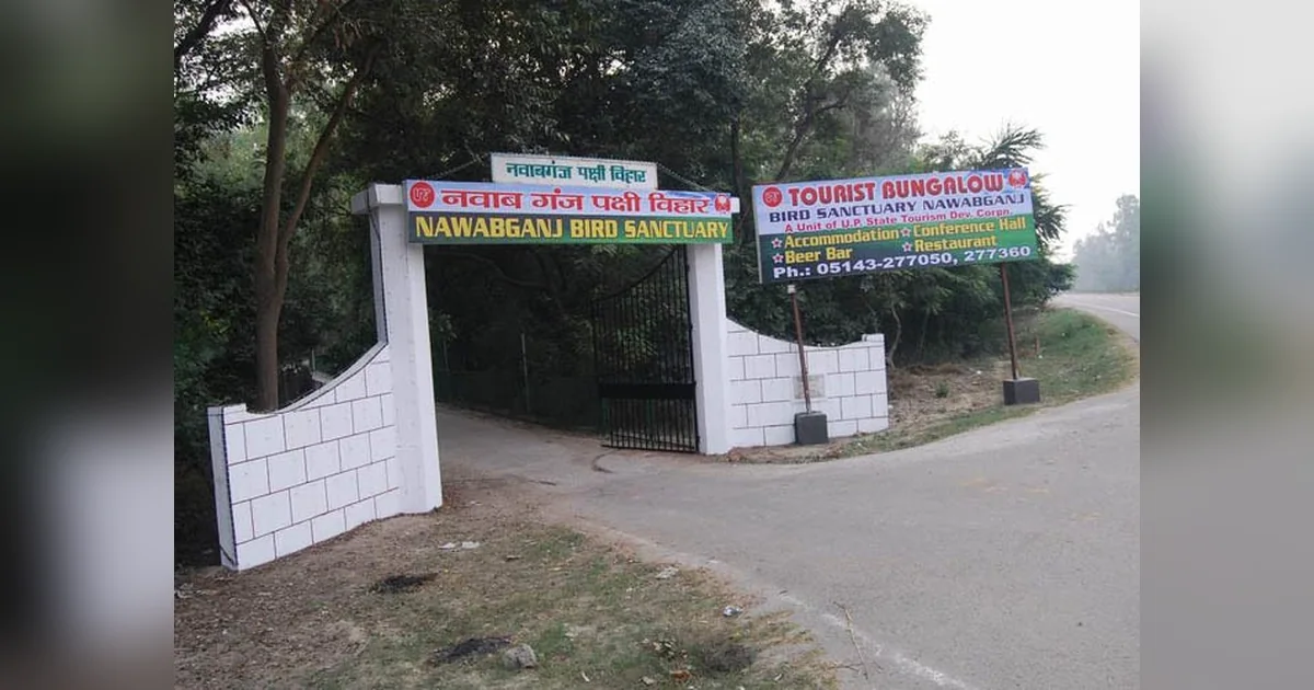 Nawabganj Bird Sanctuary