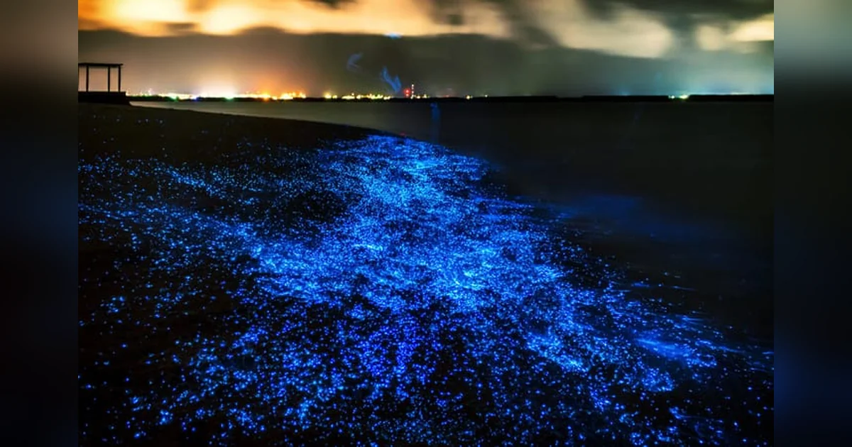 Glowing Beach, Maldives