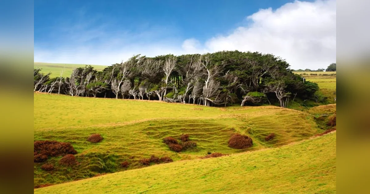 Slope Point, New Zealand