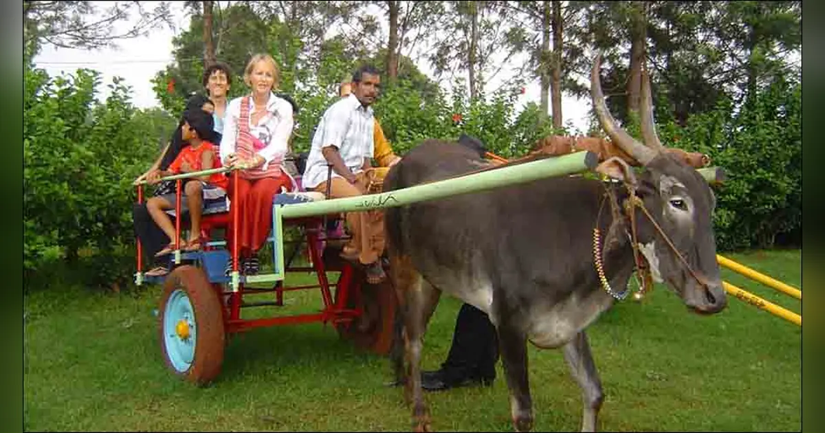 Village Tourism