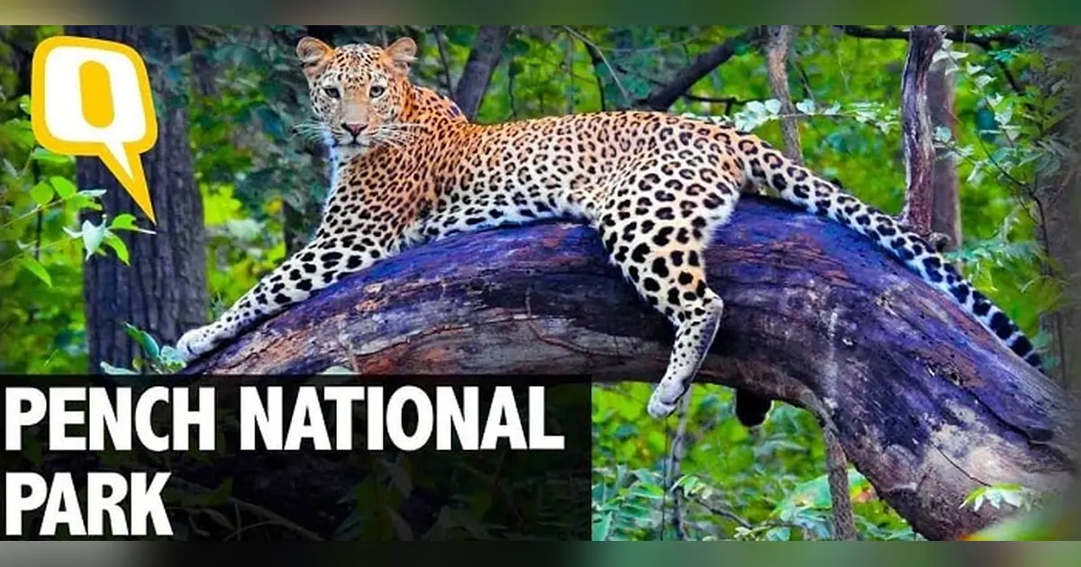 Pench National Park