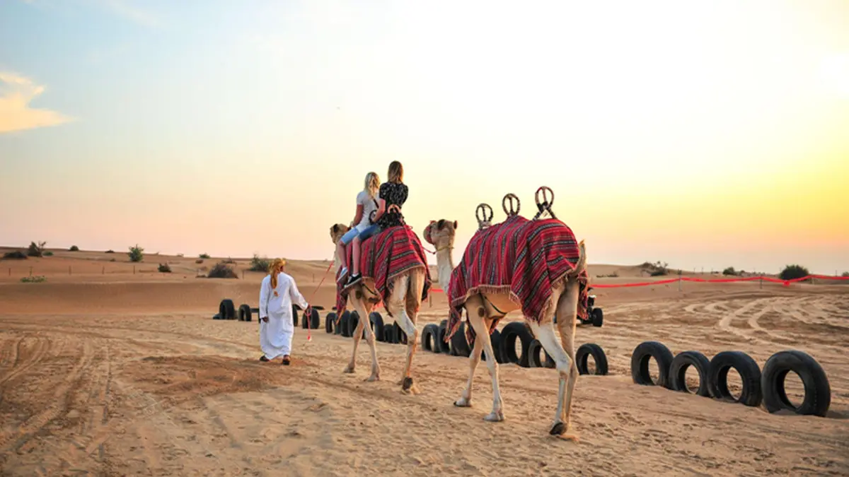 Arabian Desert Camel Safari Experience
