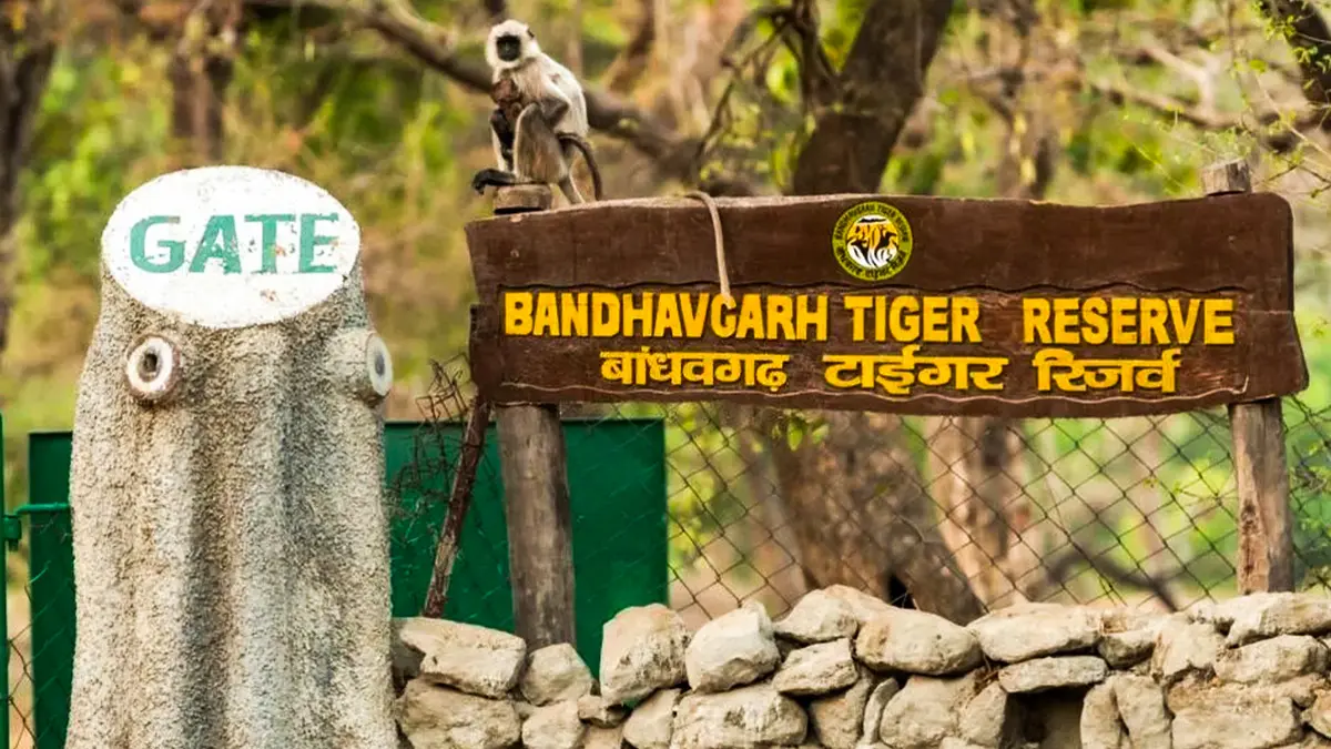 Entrance gate of Bandhavgarh Tiger Reserve in Madhya Pradesh
