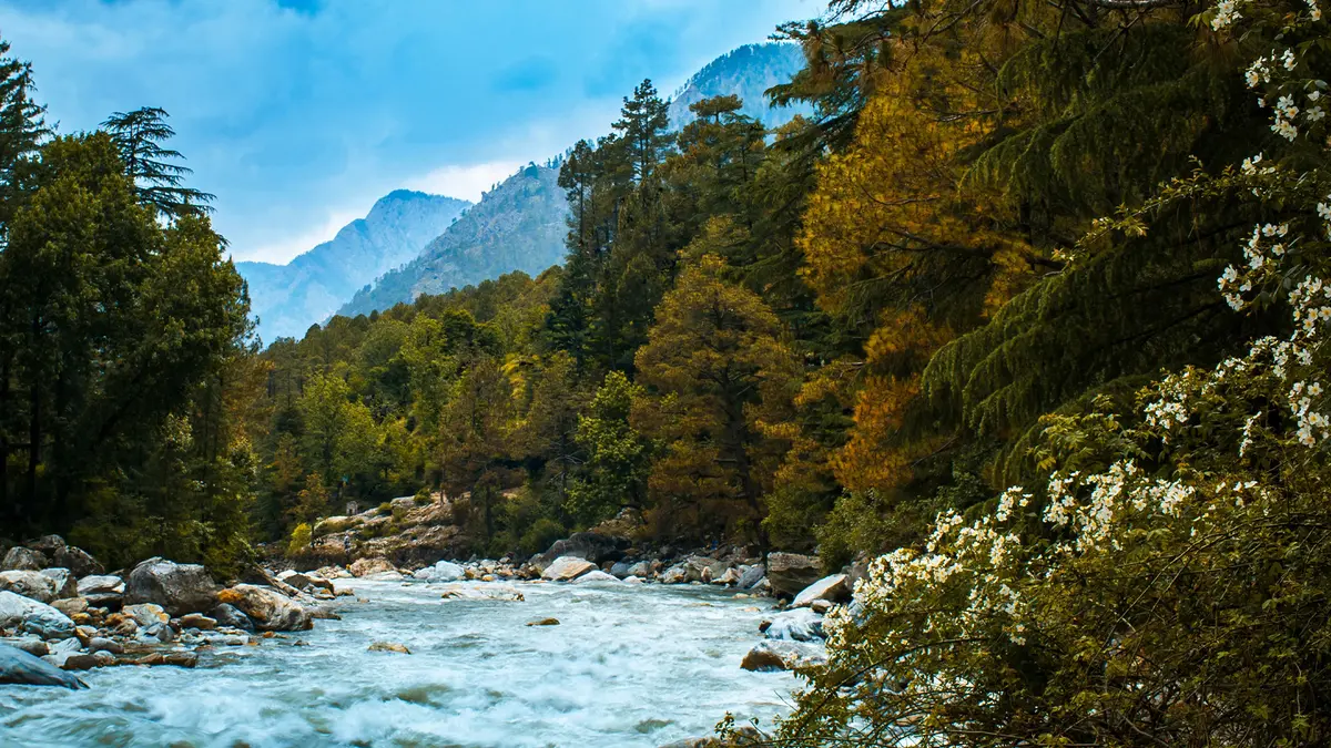 Beas River flowing through Himalayan forest