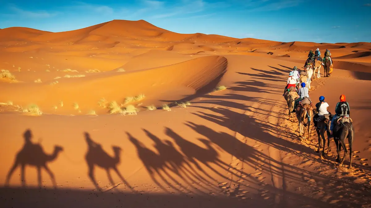 Camel caravan crossing golden Arabian Desert dunes