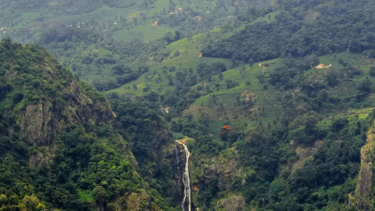 Scenic view of Catherine Falls cascading through the lush Coonoor valley