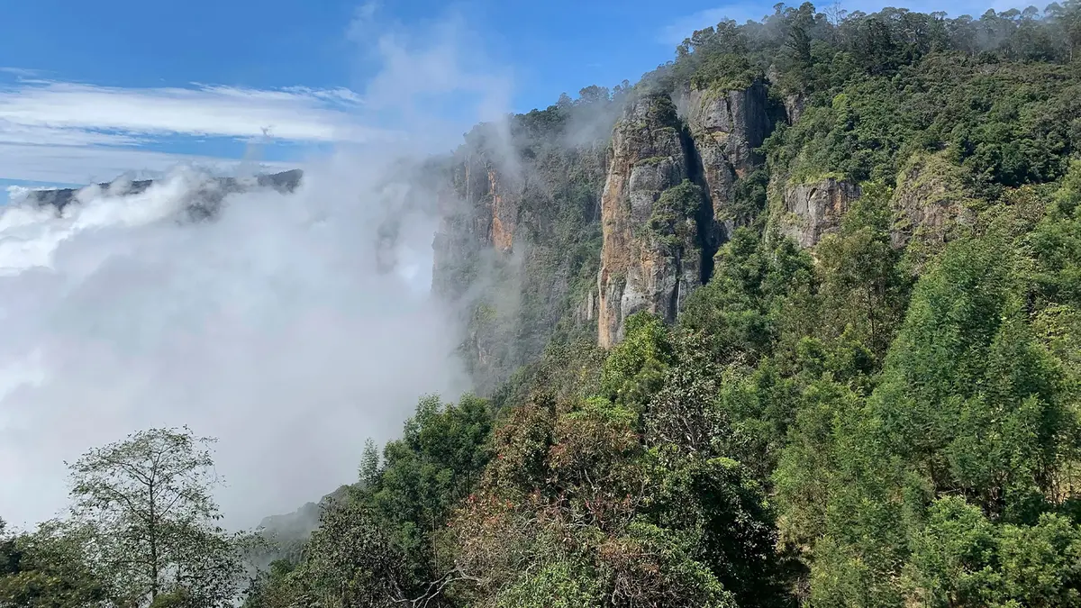 Cloud-covered mountain cliffs overlooking dense evergreen forests