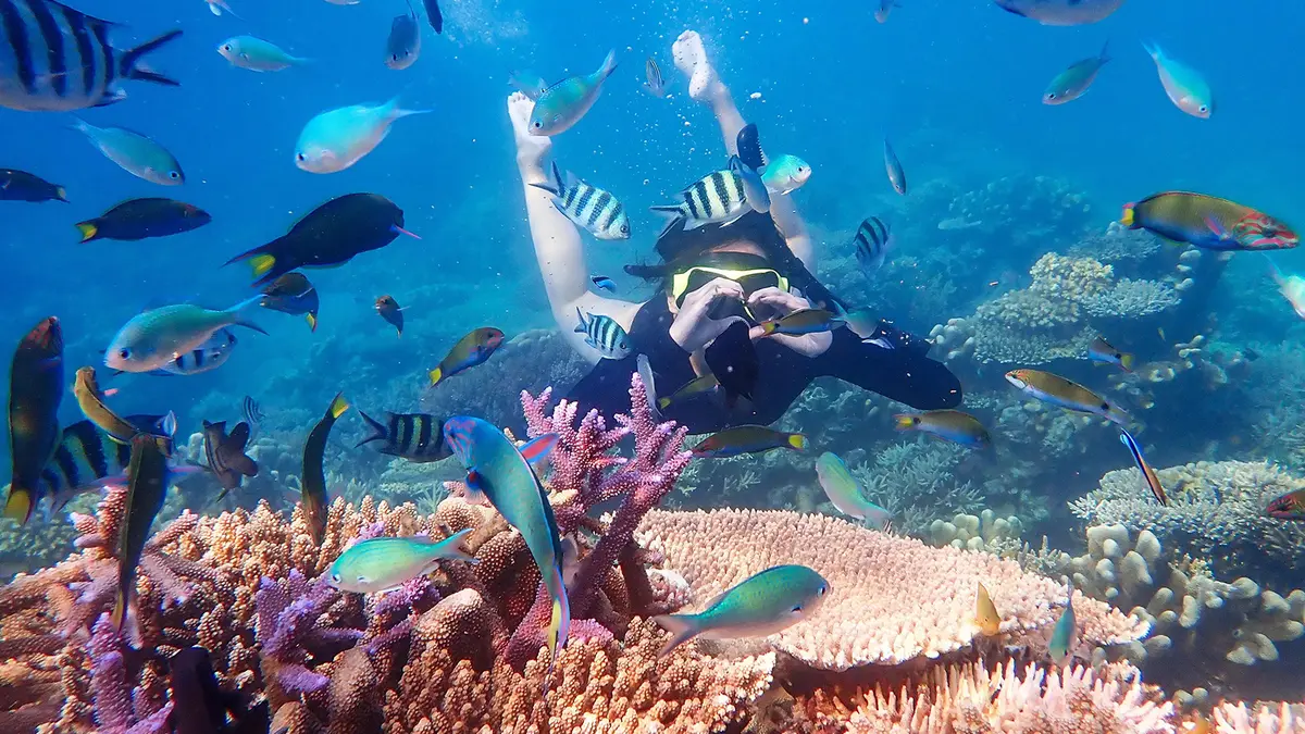 Snorkeler exploring colorful coral reefs in Andaman