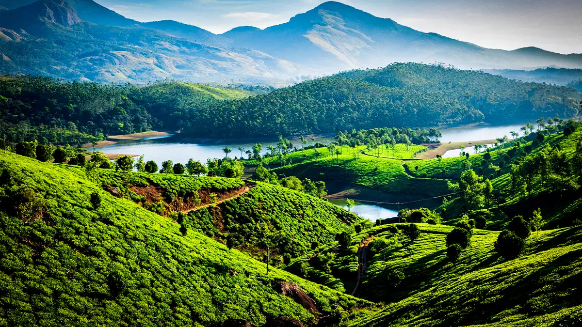 Emerald valley reservoir surrounded by mountains and plantations