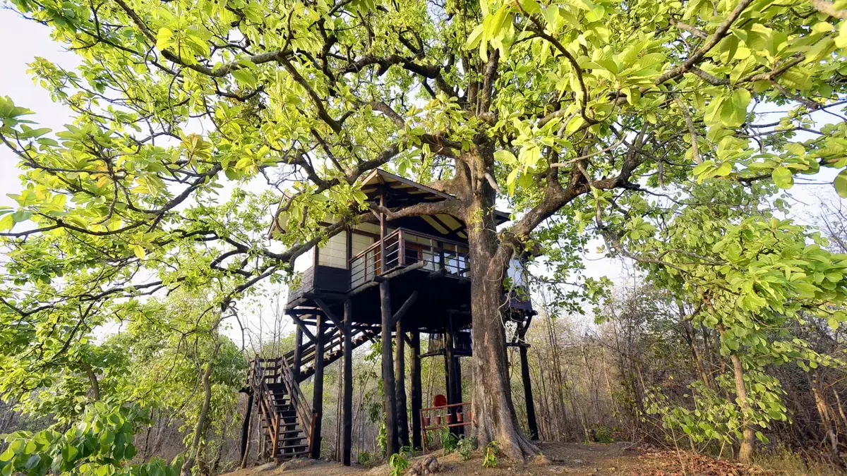 Forest watchtower in Jim Corbett National Park