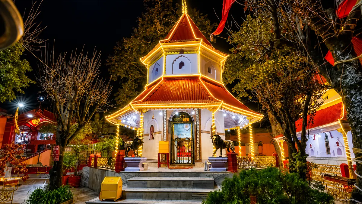 Beautifully illuminated hill shrine surrounded by trees at night