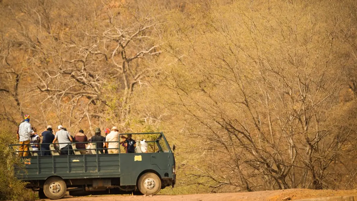 Open safari vehicle exploring Kanha National Park forest
