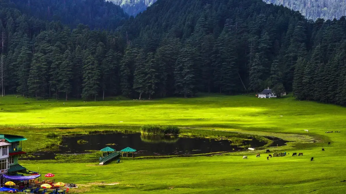 Khajjiar Lake surrounded by lush grasslands and dense deodar forest in Himachal Pradesh