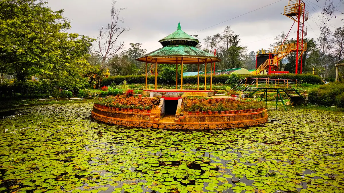 Lily Pond Garden Retreat