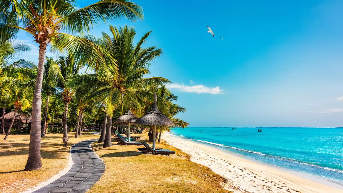 Palm-lined beach walkway with white sand in Mauritius