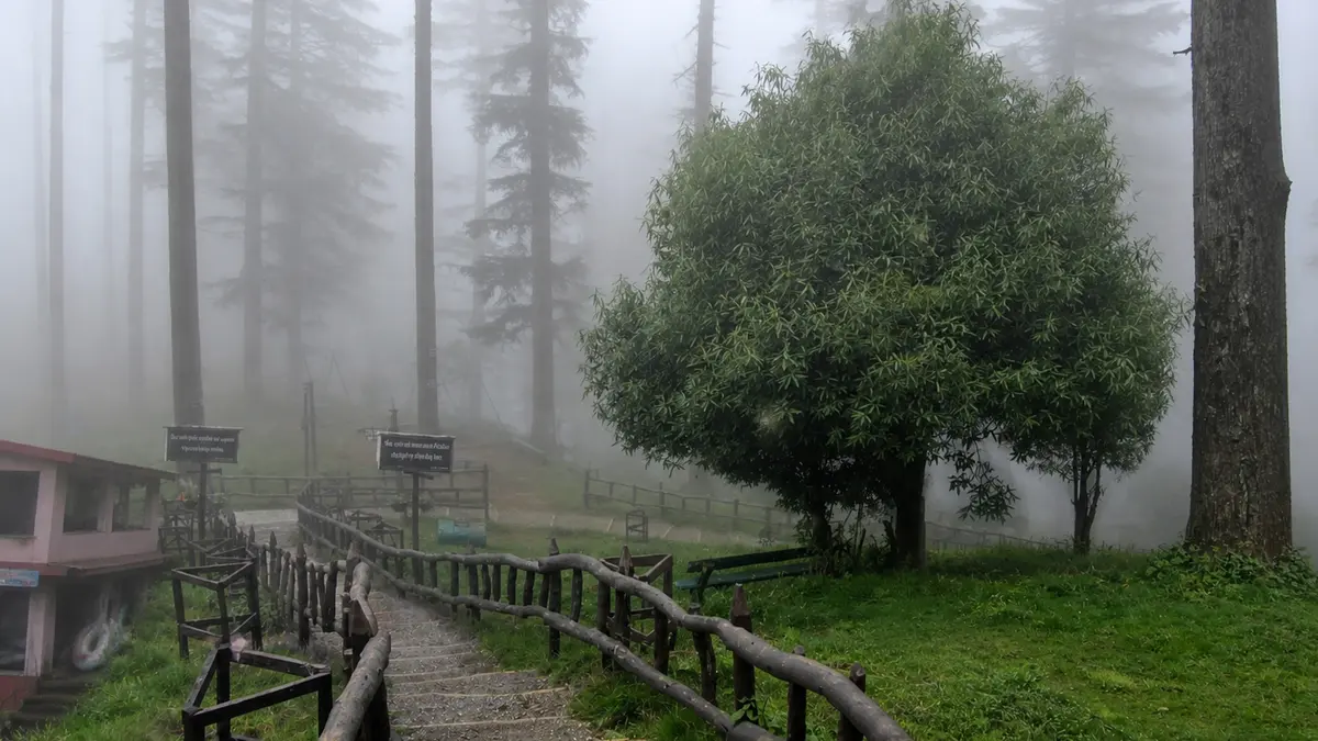 Wooden pathway through a mist-covered Himalayan forest landscape
