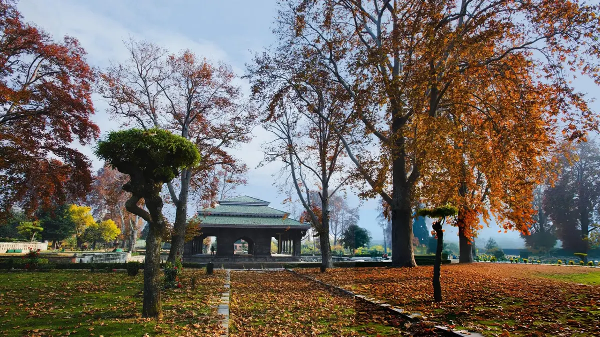 Mughal Garden in Srinagar during autumn
