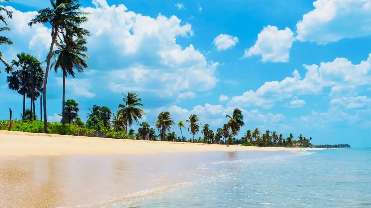 Peaceful sandy shoreline and turquoise waters at Nilaveli Beach in eastern Sri Lanka