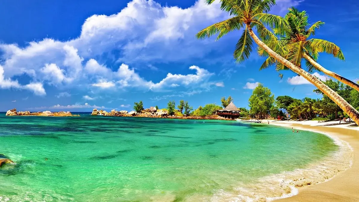 Palm-lined white sand beach with crystal clear water in Andaman