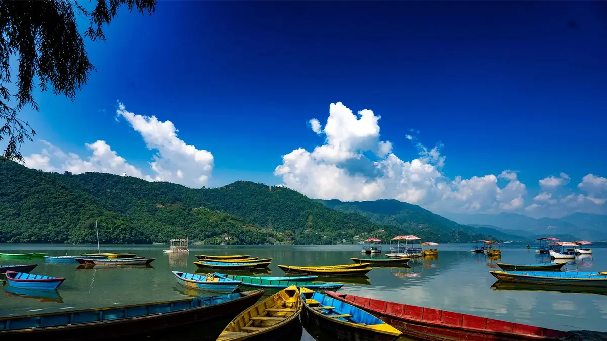 Colorful wooden boats floating on a calm lakeside in Pokhara Nepal