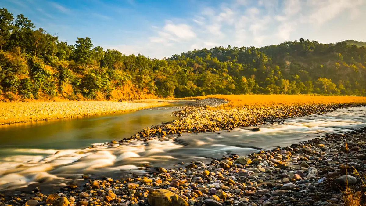 Ramganga River Corbett Landscape