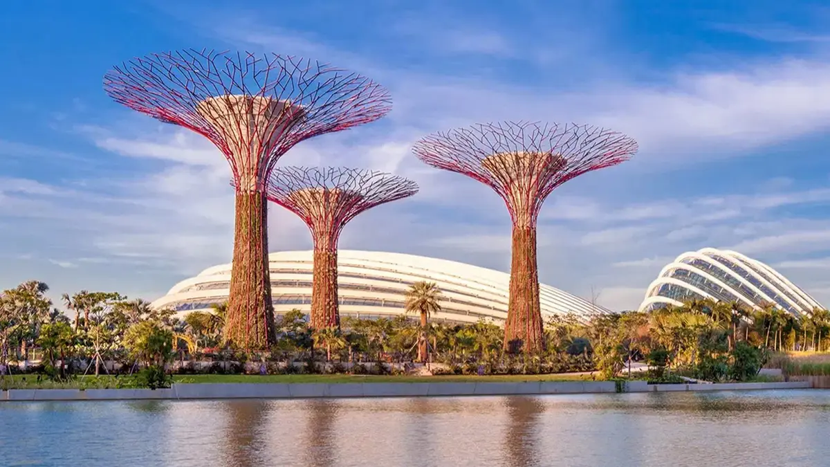 Supertree Grove and Gardens by the Bay showcasing Singapore's futuristic garden landscape
