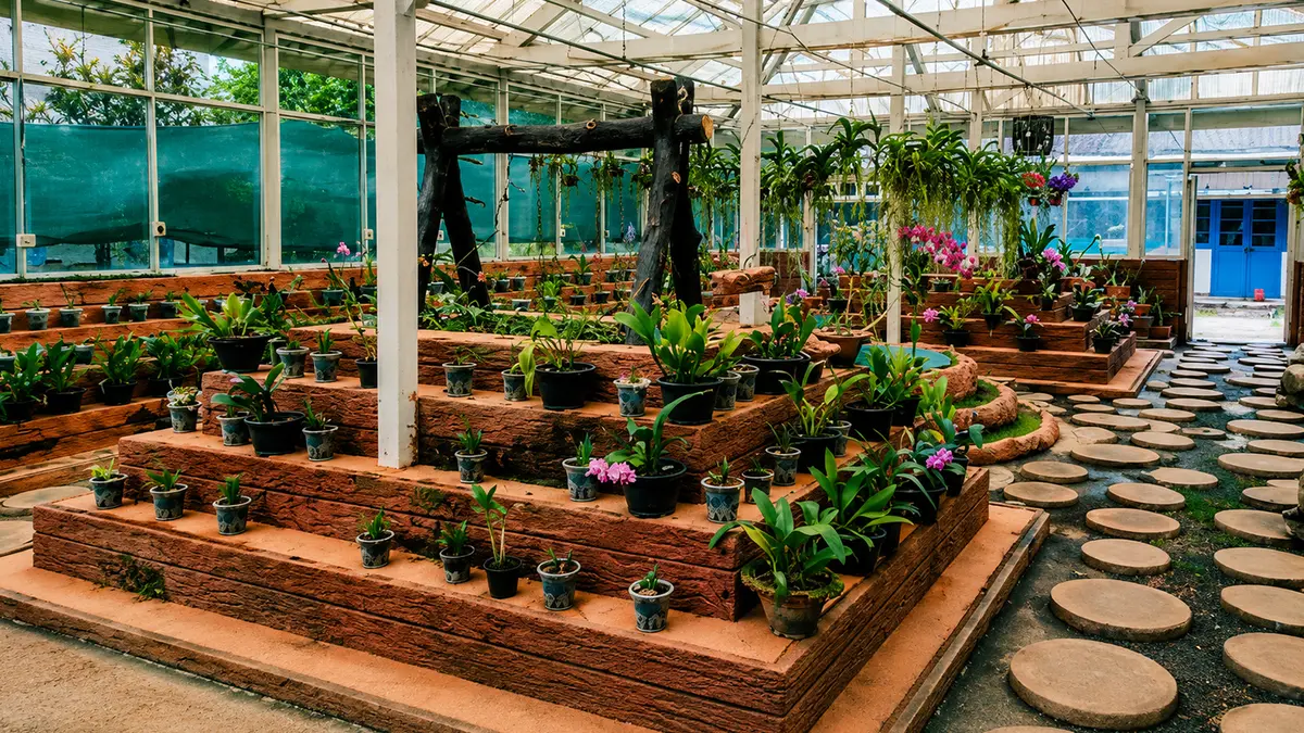 Tawang Orchid Research Centre Arunachal Pradesh