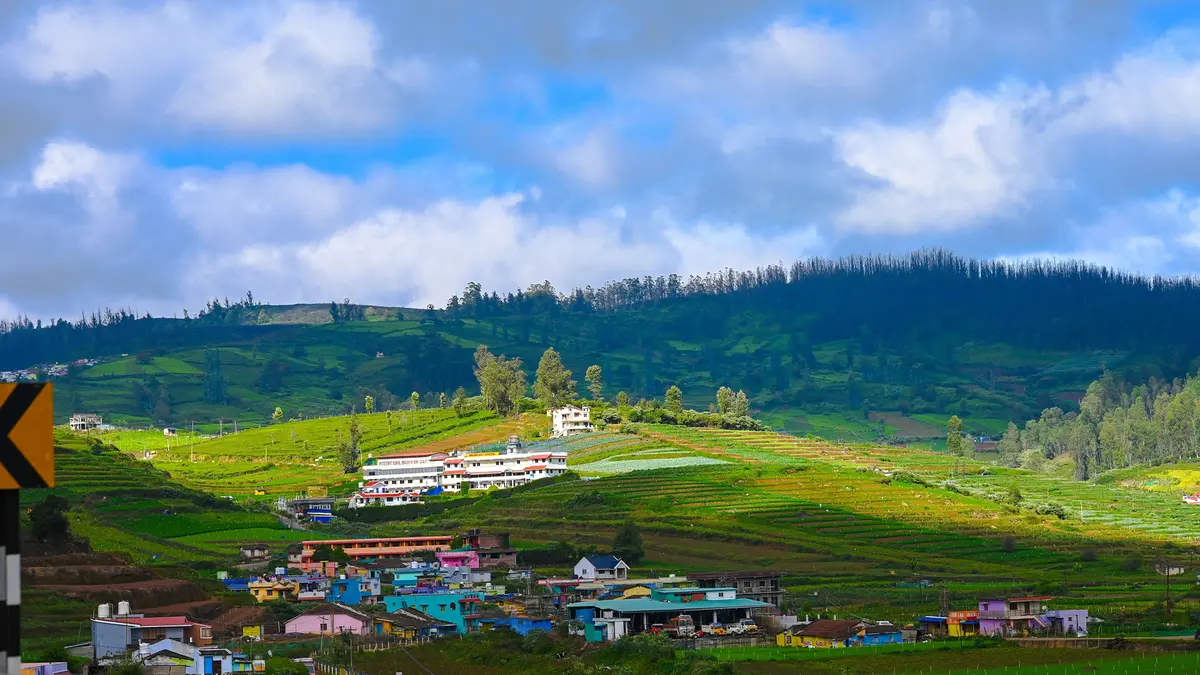 Scenic tea plantations and rolling hills on the South India wildlife circuit
