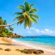 Goa beach with palm trees and blue sea
