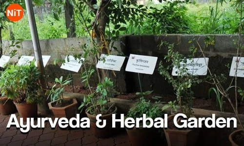 Ayurveda and Herbal Garden