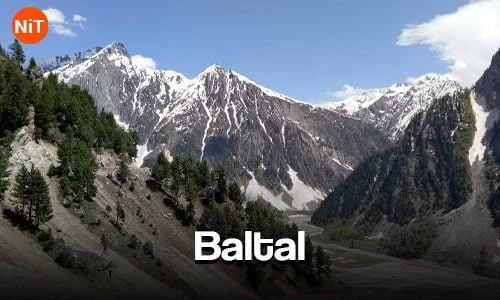 Baltal