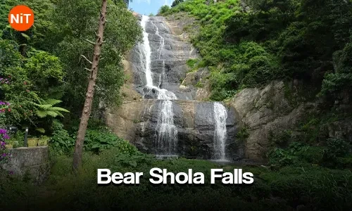 Bear Shola Falls sightseeing view