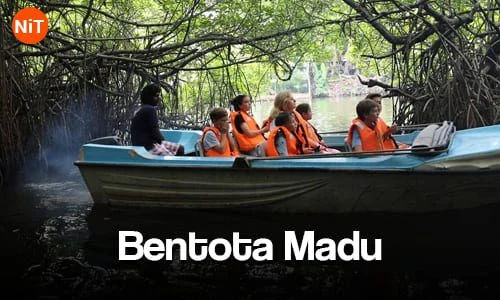 Bentota Madu River Safari