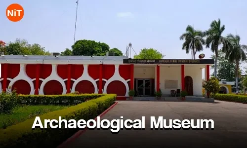 Bodh Gaya Archaeological Museum