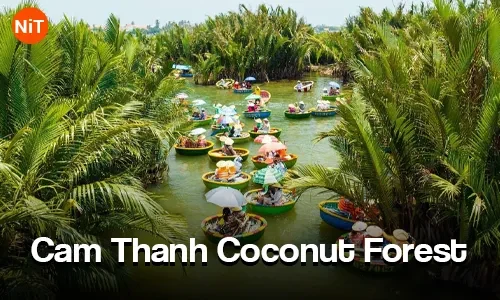 Cam Thanh Coconut Forest, Hoi An sightseeing view