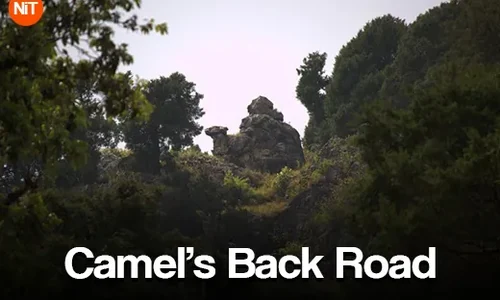 Camels Back Road scenic route in Mussoorie