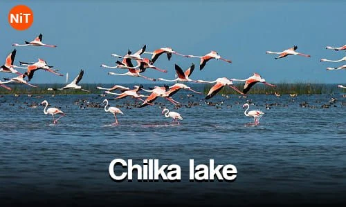 Chilika Lake