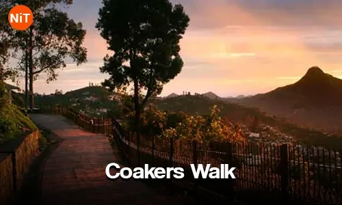 Coakers Walk sightseeing view